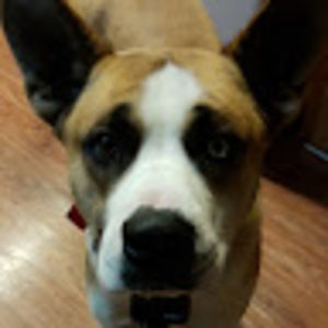 Meet your Posher, Luisa